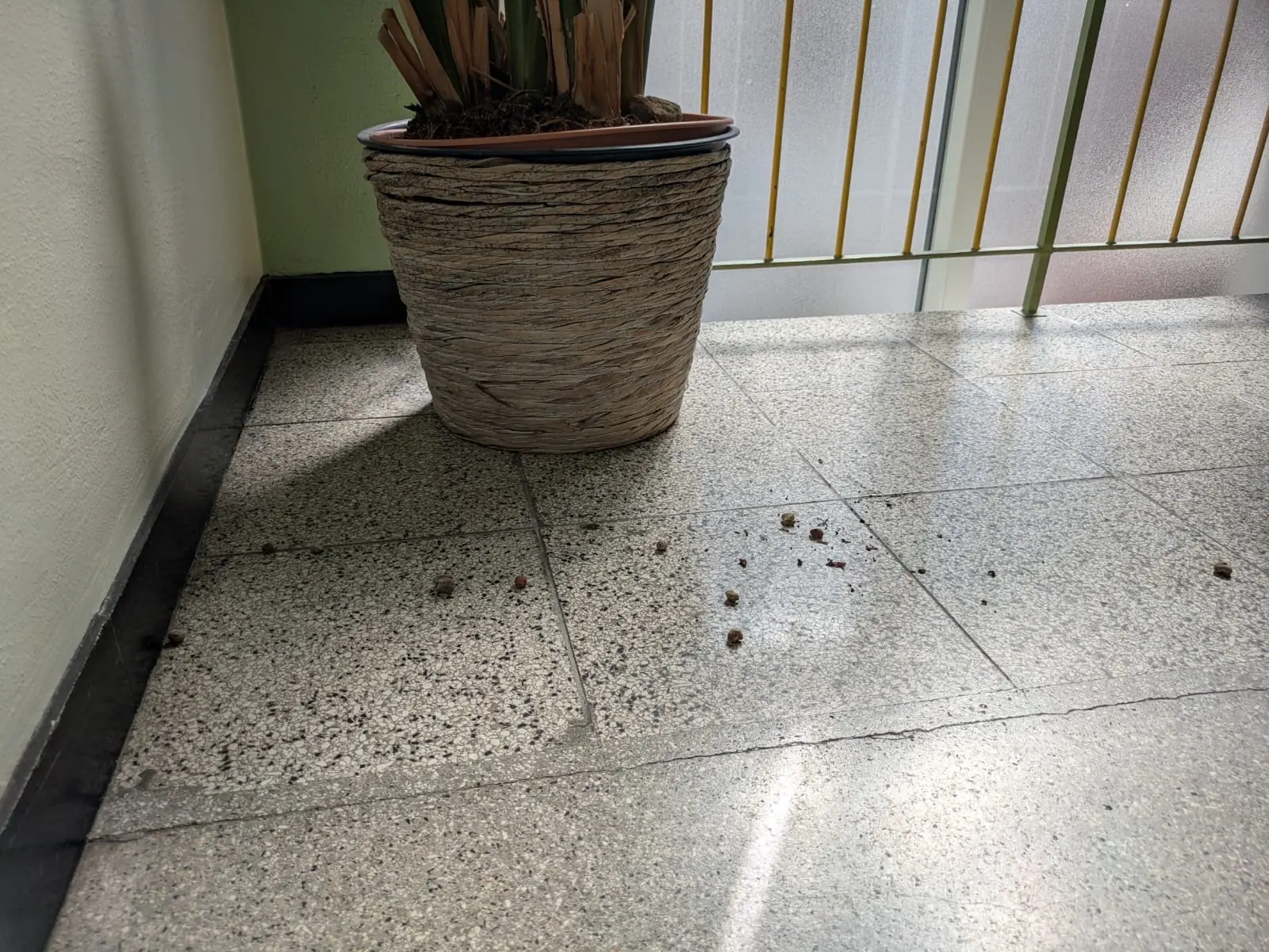 Treppenhausboden mit Erde und losem Schmutz vor der Reinigung